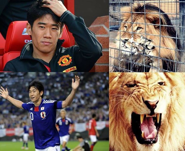 Kagawa về Nhật dũng mãnh thật!