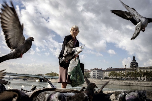 Người phụ nữ cho những con bồ câu ăn bên bờ sông Rhone, Lyon, Pháp.