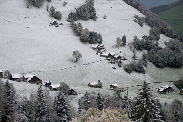 Tuyết đầu mùa phủ trắng một ngọn đồi ở Wiesenberg, bang Nidwalden, Thụy Sĩ.