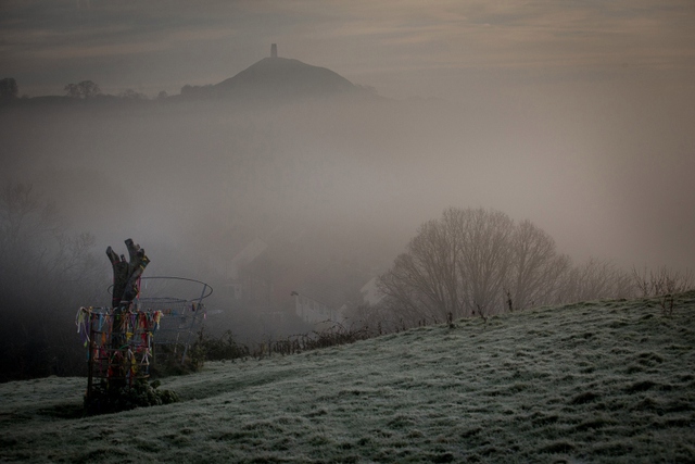 Sương sớm bao phủ thảo nguyên ở Glastonbury, Anh.