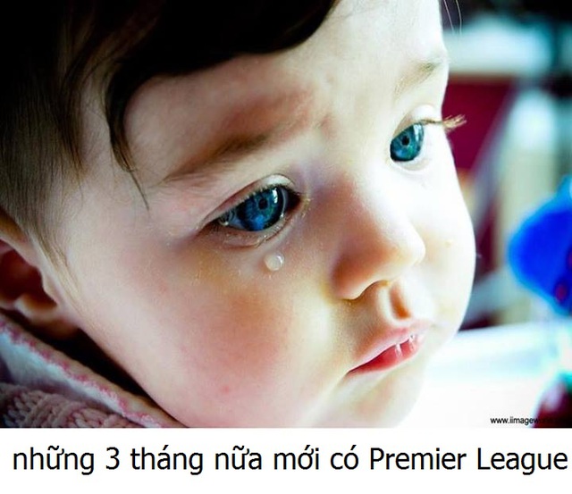 Các CĐV sẽ phải sống thiếu Premier League