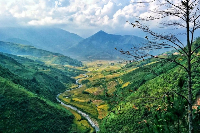 Khung cảnh ở đèo Khau Phạ đẹp nhất vào tháng 9, tháng 10, khi những triền ruộng bậc thang của bà con dân tộc Mông chín vàng, rực rỡ một sắc màu. Đây là thời điểm mà dân phượt thường đến nơi này để thưởng ngoạn. (Ảnh: Trang Pear)