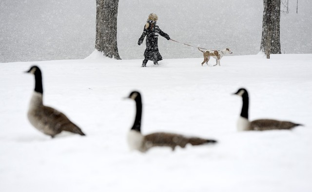 Người phụ nữ dắt chó đi dưới mưa tuyết đầu mùa ở Colorado Springs, Colorado, Mỹ.