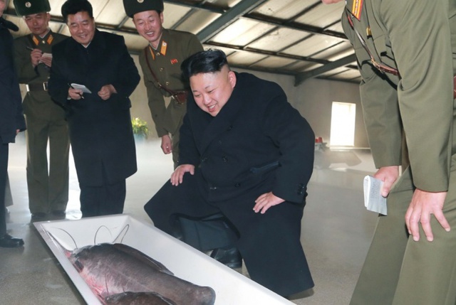 Nhà lãnh đạo Triều Tiên Kim Jong-un tham các trang trại nuôi và nhân giống cá da trơn của nước này.