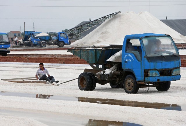 Công nhân được xe chở muối kéo đi tại một trang trại muối ở Thọ Quang, Sơn Đông, Trung Quốc.