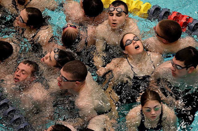 Các học viên bơi trong tình trạng đông người.