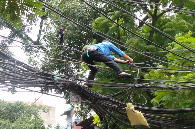 Cũng có lúc trở thành người nhái...