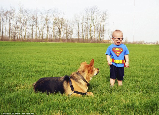 Khó chịu: Toby nhìn xung quanh tại Carter, người, mặc dù mặc một Superman t-shirt, đã bắt đầu khóc 