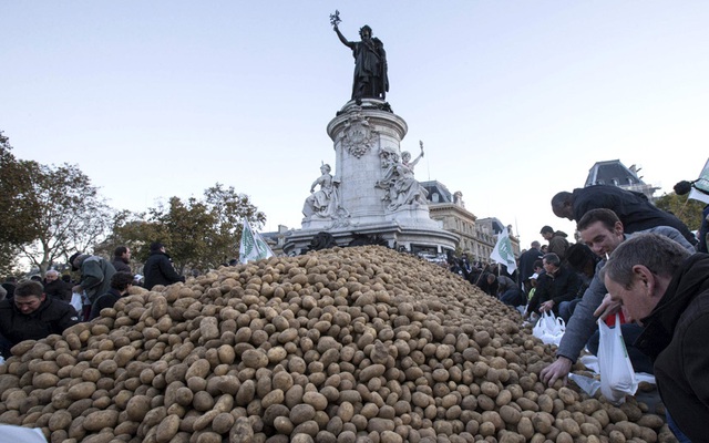 Nông dân Pháp đã đổ hàng tấn khoai tây tại quảng trường République ở thủ đô Paris để phản đối những hạn chế về môi trường và thị trường do ảnh hường từ lệnh cấm vận thực phẩm của Nga.