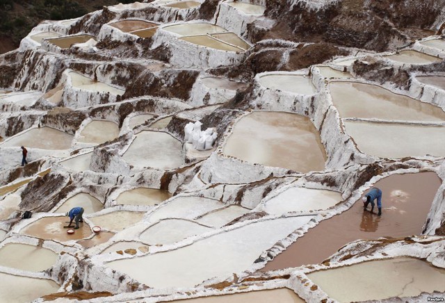 Công nhân thu gom muối tại các hồ muối tại mỏ Maras ở Cuzco, Peru.