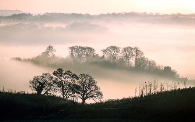 Sương mù bao phủ gần khu vực Bruton ở Somerset, Anh.