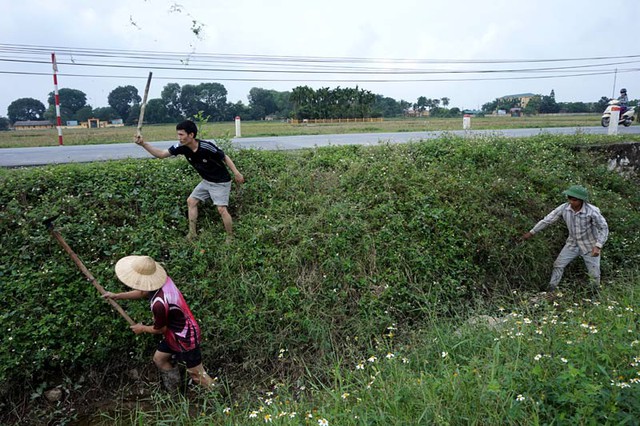 Săn chuột, trai tráng, cánh đồng, nhậu