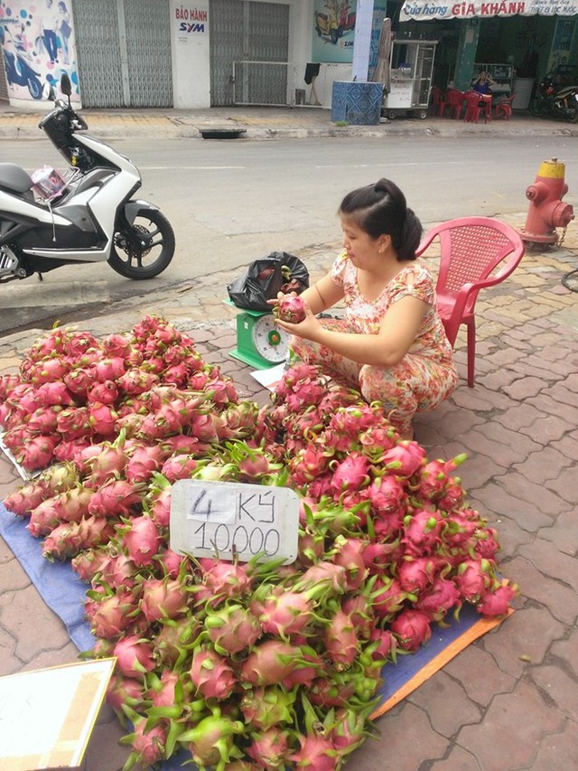 Thê thảm thanh long 2.000 đồng/kg bán đầy đường