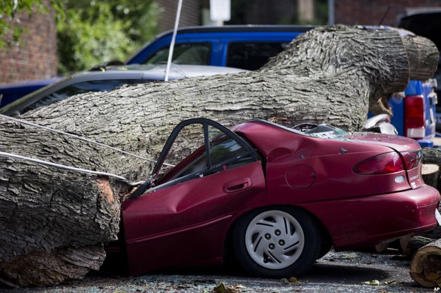 Cây đổ đè bẹp một chiếc ô tô trên đường phố ở Philadelphia. Khoảng 228.000 gia đình tại bang Pennsylvania, Mỹ, bị mất điện sau khi một trận lốc xoáy quét qua bang này.