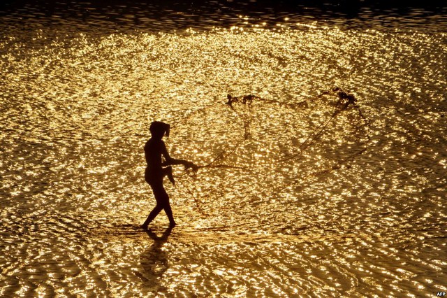 Một ngư dân quăng chài đánh cá trên sông Bhargavi ở ngoại ô phía đông thành phố Bhubaneswar, Ấn Độ.