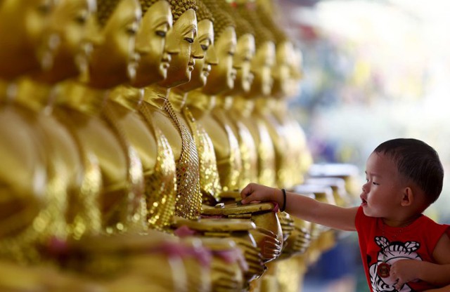 Một em bé đặt tiền xu lên những tượng Phật mạ vàng để cầu may mắn vào dịp Đại lễ Phật đản Vesak tại ngôi chùa Chetawan ở Petaling Jaya, Malaysia.