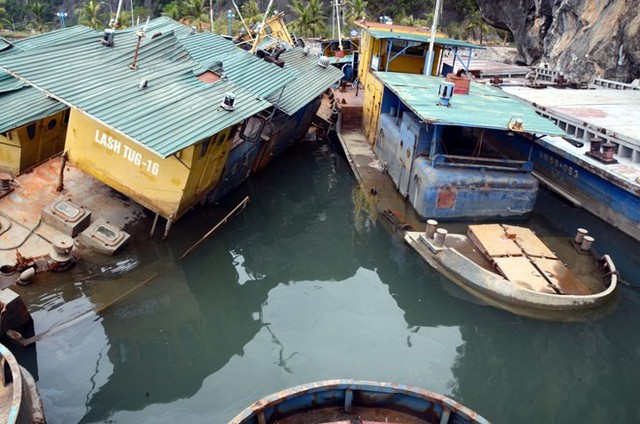9 con tàu đẩy, sà lan của Cty vận tải biển Viễn dương Vinashin (Vinalines) bỏ hoang nhiều năm, gây mất cảnh quan ven bờ vịnh Hạ Long.