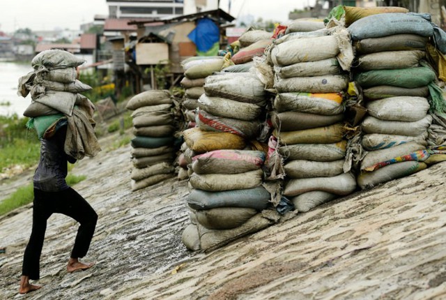 Công nhân vác bao tải cát để gia cố đê tại thành phố Taguig, Philippines.