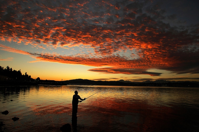 Người đàn ông câu cá dưới hoàng hôn ở Port Orchard, Washington, Mỹ.