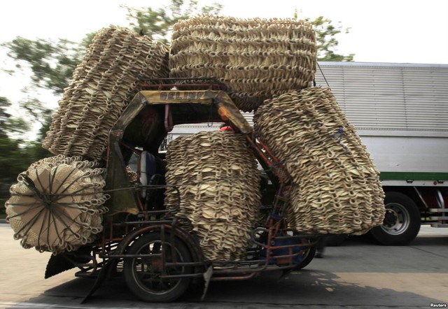 Người đàn ông lái xe ba bánh chở những chiếc quạt abaca truyền thống ra chợ tại Manila, Philippines.