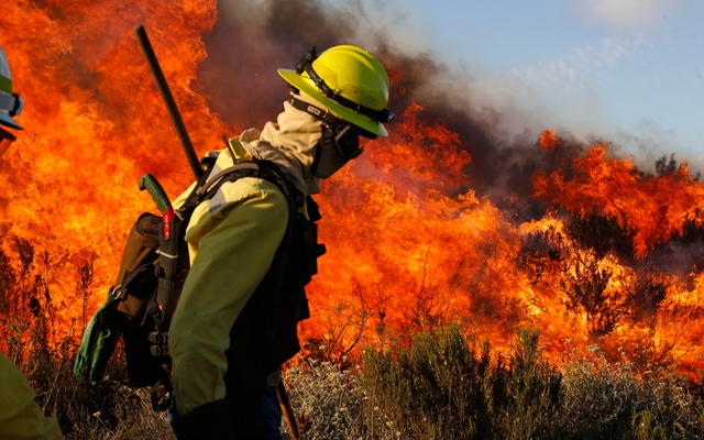 Lính cứu hỏa đi qua đám cháy rừng trên núi Head gần thành phố Cape Town, Nam Phi.