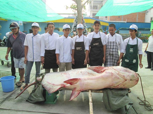 cá-tra, cá-hô, cá-mập, cá-trắm, cá-chép, thủy-quái, sông-Tiền, sông-Hậu, miền-Tây, hải-sản, thủy-sản, ngư-dân