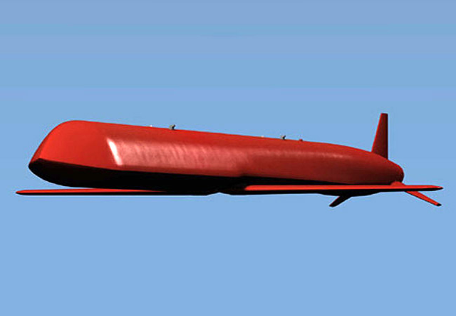 Kh-101 có chiều dài 7,6 m; Sải cánh 4,4 m; Đường kính 0,75 m. Tên lửa Kh-101 có trọng lượng khoảng 2.400 kg, khối lượng đầu đạn của tên lửa tới 400 kg, vì thế uy lực sát thương của nó rất cao. 