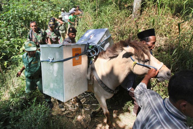 Cảnh sát và binh sĩ quân đội hộ tống các nhân viên bầu cử dùng ngựa để vận chuyển các hòm phiếu tới các điểm bầu cử ở vùng hẻo lánh Tlogosari, East Java, Indonesia.
