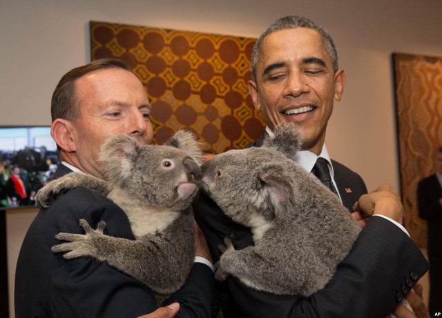 Tổng thống Mỹ Barack Obama (phải) và Thủ tướng Australia Tony Abbott ôm gấu túi, trong khi chụp ảnh bên lề hội nghị thượng đỉnh G-20 ở Brisbane, Australia.