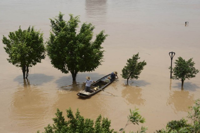 Người dân chèo thuyền đánh cá gần cây ngập một phần trong nước lũ ở thành phố Nam Ninh, tỉnh Quảng Tây, Trung Quốc.