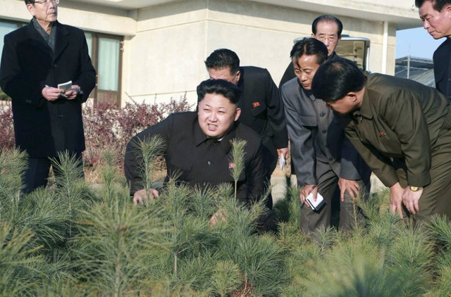 Nhà lãnh đạo Triều Tiên Kim Jong-un tới thăm một trại ươm cây giống ở thủ đô Bình Nhưỡng.