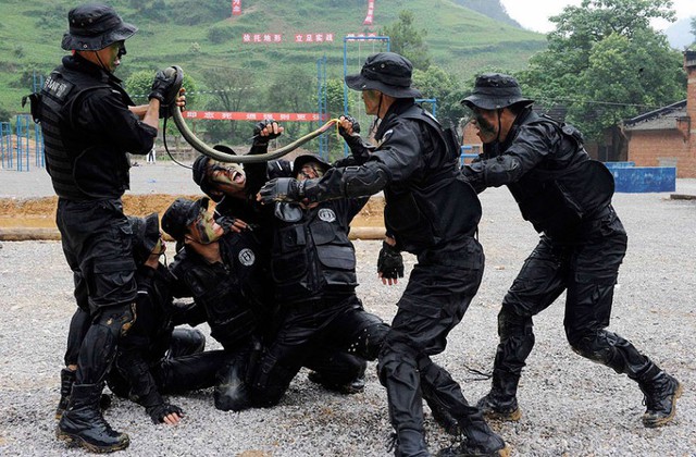 Cảnh sát đặc nhiệm Trung Quốc uống máu của một con rắn họ phát hiện thấy trong đường hầm trong cuộc huấn luyện kỹ năng sống sót tại tỉnh Quý Châu.