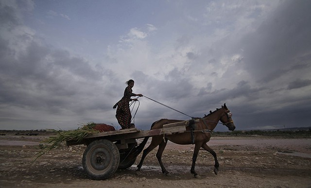Một bé gái điều khiển xe ngựa khi mây đen phủ kín bầu trời ở Jammu, Ấn Độ.