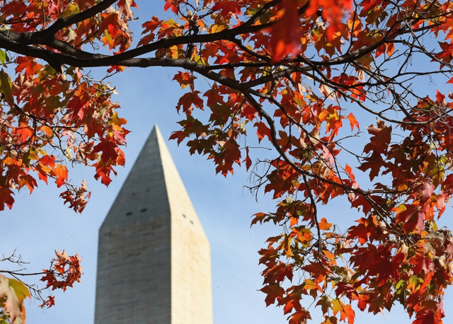 Sắc thu ngập tràn quanh Tượng đài Washington, ở Washington, Mỹ.