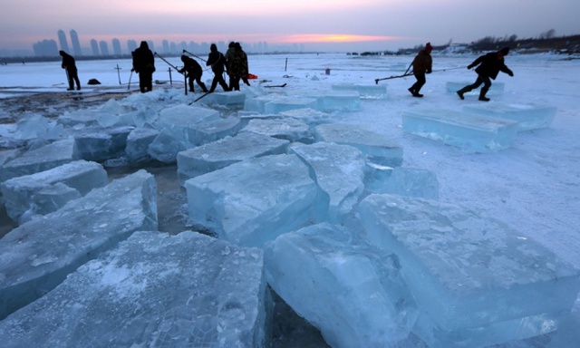 Mọi người cắt những khối băng lớn từ sông Tùng Hoa để chuẩn bị cho lễ hội băng đăng quốc tế tại Cáp Nhĩ Tân, Trung Quốc.