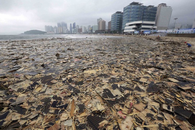 Rác phủ kín một bãi biển ở Busan, Hàn Quốc, sau khi bão Nakri đổ bộ vào thành phố này.