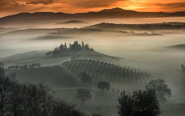 Sương sớm mùa thu bao phủ các ngọn đồi gần San Quirico DOrcia ở Val dOrcia, Tuscany, Italia.