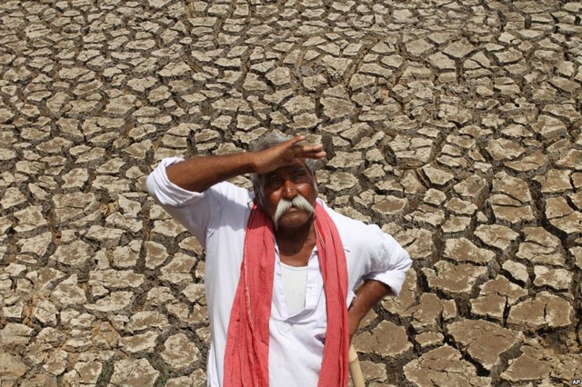 Một nông dân nhìn lên trời khi đứng trên cánh đồng hạn hán ở ngoại ô Ahmadabad, Ấn Độ.