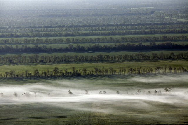 Sương sớm bao phủ cánh đồng rộng mênh mông ở Stavropol Krai, Nga.