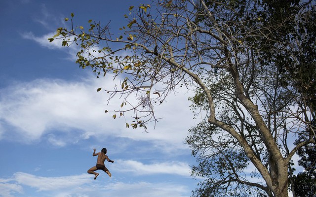 Một cậu bé nhảy từ cây xuống sông Rio Negro ở Sao Pedro, gần Manaus, Brazil.