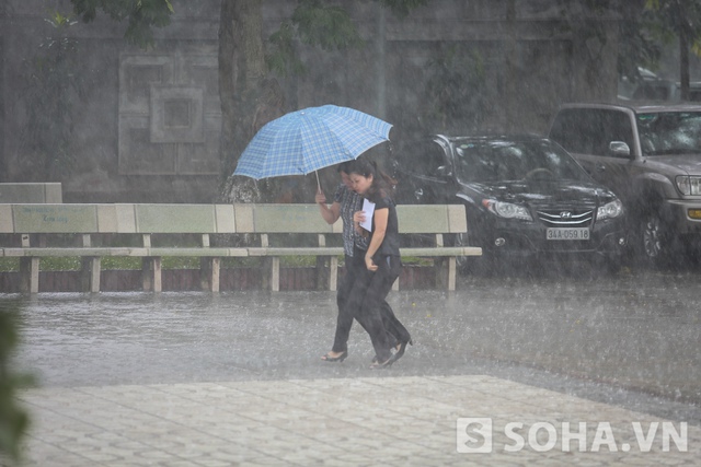 Dù trời mưa như trút nước vẫn không ngăn được nguyện vọng được đưa tiễn bác Dế mèn của độc giả trên khắp đất nước