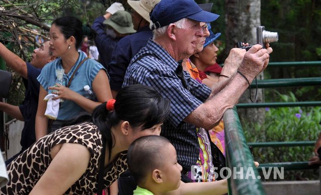 Không chỉ có người Việt Nam mà cả người nước ngoài cũng đến Thảo Cầm Viên xem hươu cao cổ Châu Phi và chụp ảnh