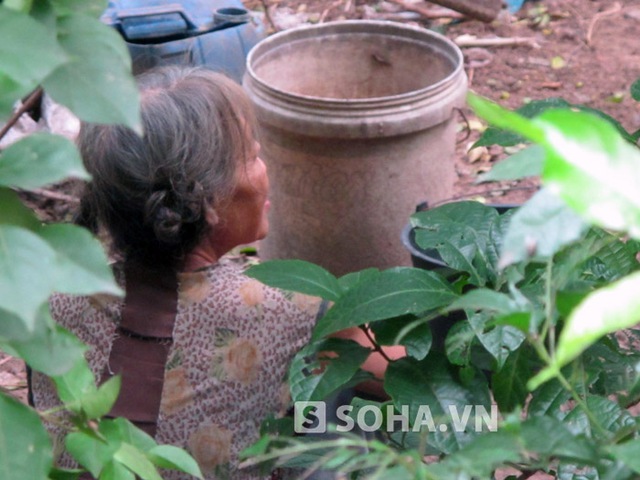 Người đàn bà lập dị chúng tôi muốn nói đến là bà Phạm Thị Hải Huệ (66 tuổi, trú ở xóm 3, xã Xuân Phổ, Nghi Xuân, Hà Tĩnh).