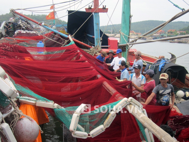 Những tấm lưới được vá vội sau nhiều ngày ra khơi, để chuẩn bị cho một chuyến vươn khơi mới. Với họ một suy nghĩ thật giản đơn: “Mình còn đánh cá, còn buông lưới là biển còn của mình”.