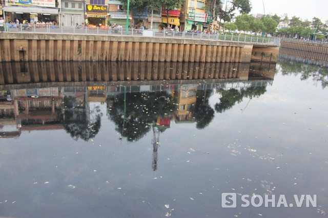 Kênh Nhiêu Lộc - Thị Nghè có cá chết nổi trắng dài gần 4km