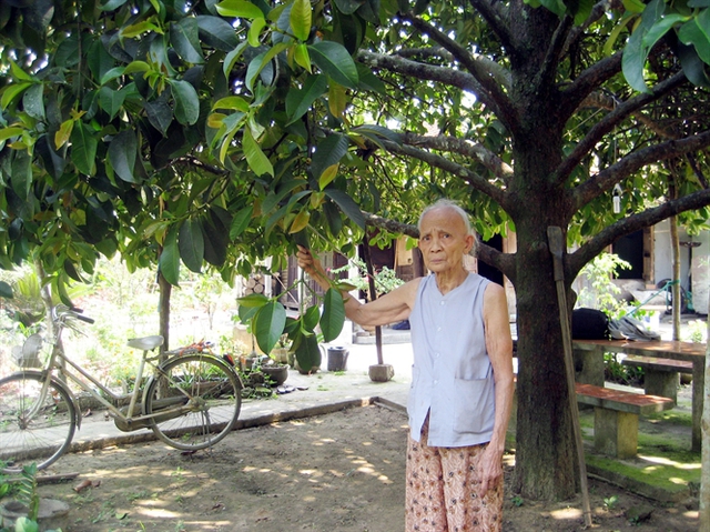 Cụ Sương, một người dân làng Đại Bình đã bước sang tuổi 85 vẫn khỏe mạnh (Ảnh: Nông nghiệp Việt Nam)