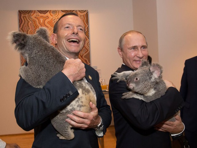 Ông Abbott và ông Putin chụp ảnh cùng koala. Ảnh: AAP