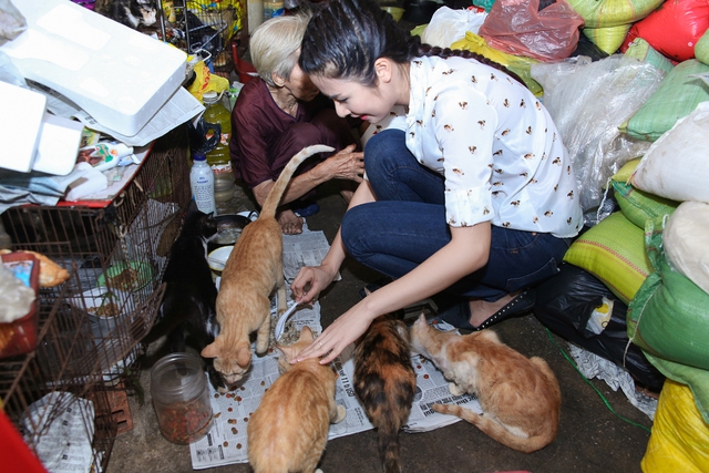 Cựu Hoa hậu say sưa cho mèo ăn. Ở nhà riêng, cô cũng nuôi mèo và chó.