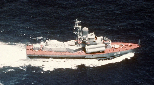 Trong số 47 tàu có 10 chiếc thuộc phân lớp Nanuchka I (Dự án 1234), 19 chiếc Nanuchka III (Dự án 1234.1), 1 chiếc Nanuchka IV (Dự án 1234.2) và 10 chiếc phiên bản xuất khẩu Nanuchka II (Dự án 1234E).

 

Trong ảnh là tàu hộ vệ tên lửa Nanuchka I.
