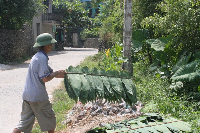 Những chiếc lá trước khi được đưa vào lò sấy sẽ được mang ra hong khô dưới ánh nắng tự nhiên. Và người giúp chị Triệu công việc ấy chính là người chồng đã từng viết đơn ly hôn bởi tính bướng và sự quyết tâm làm giầu của vợ năm xưa